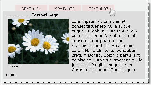 mgfx-tabs-03-fe_1.gif