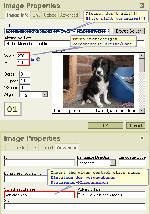 Image Properties img 01